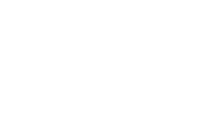 rfm logo (white)